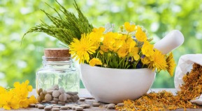 Naturopathic Service